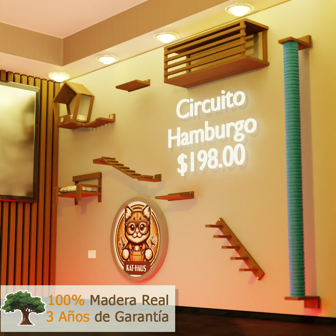 Circuito Kat Haus