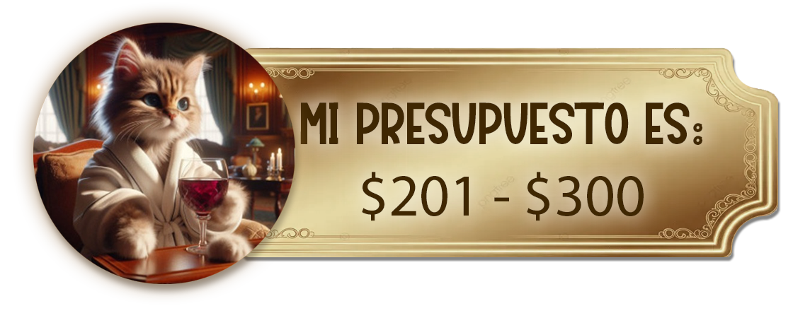 Circuitos personalizados entre 201 y 300 dólares