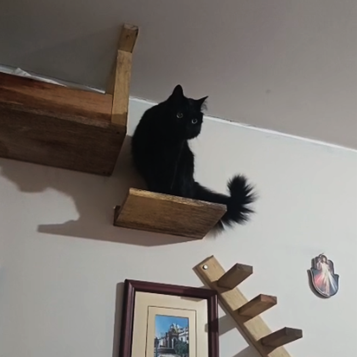 Kat Haus s9